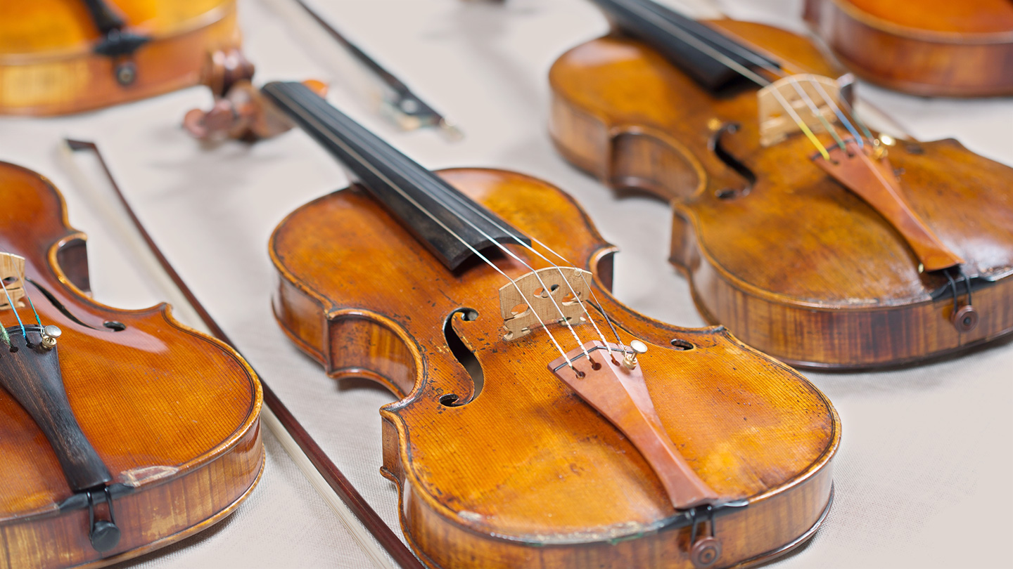 虎に翼プロジェクト