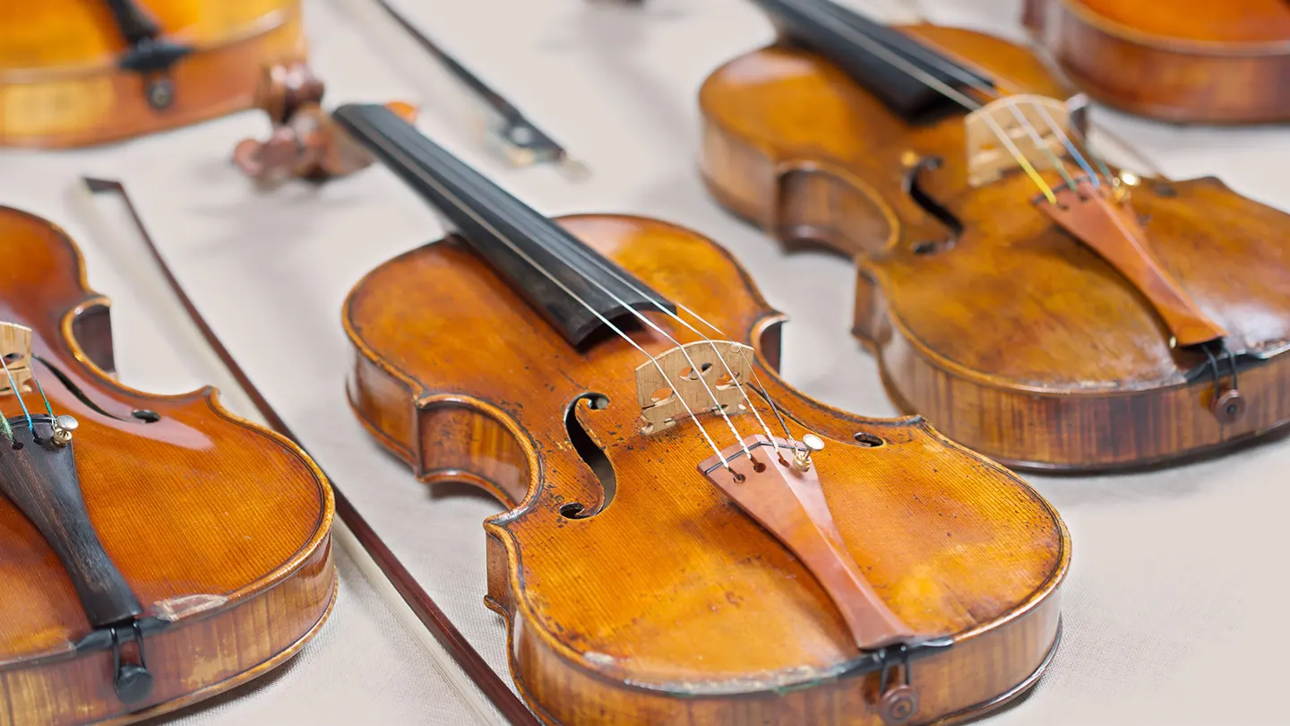 虎に翼プロジェクト